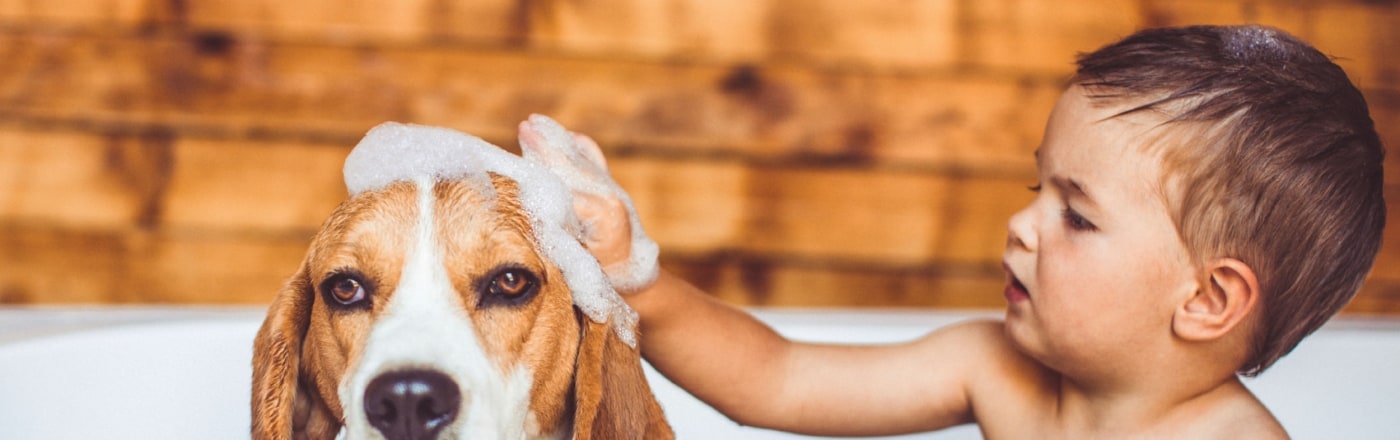 BETTER FOR PETS
Keep your pets clean and happy


More on benefits of soft water
