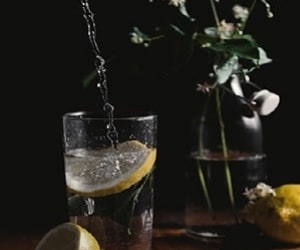 Six things a water treatment dealer can do to improve your water
