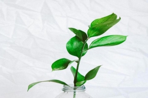 Reduce Your Carbon Footprint with a Water Softener