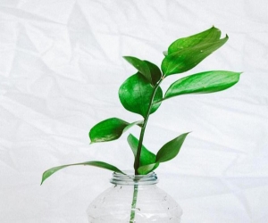 Reduce Your Carbon Footprint with a Water Softener